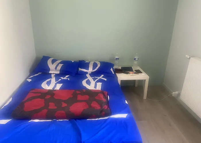 Chambre Salle De Bain - Appartement 2 Pieces A Paris
